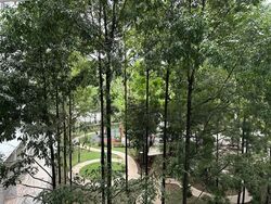 Blk 115 Sunset Way Residence (Clementi), HDB Executive #574503791